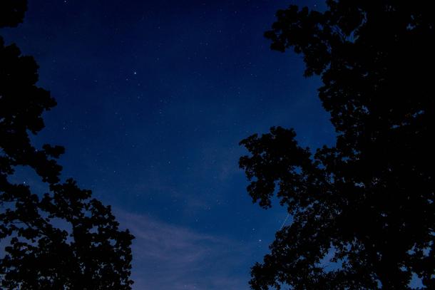 Picture of night sky I took in my backyard