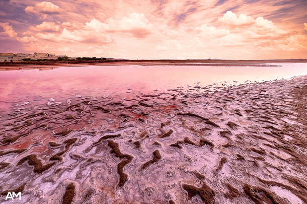 Pink Lake in Oman The color is due to the presence of a combination of algae and bacteria in the water  x