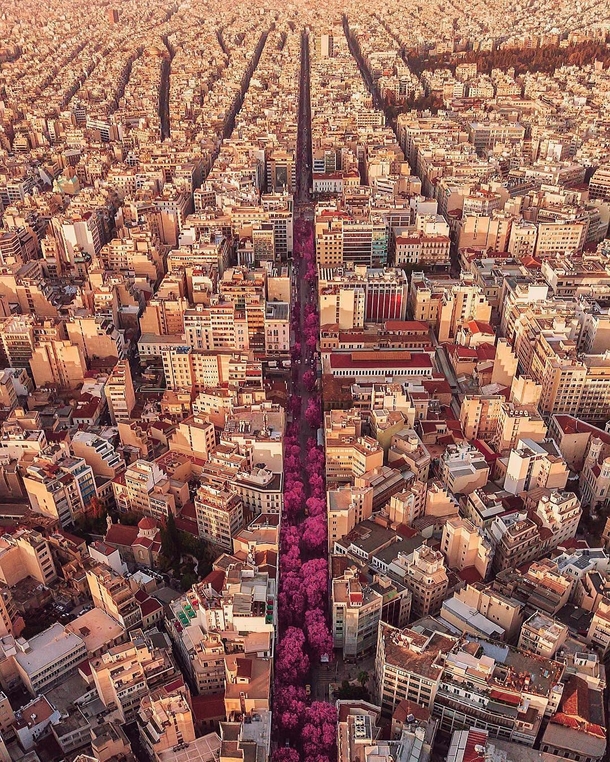 Pink road in Athens