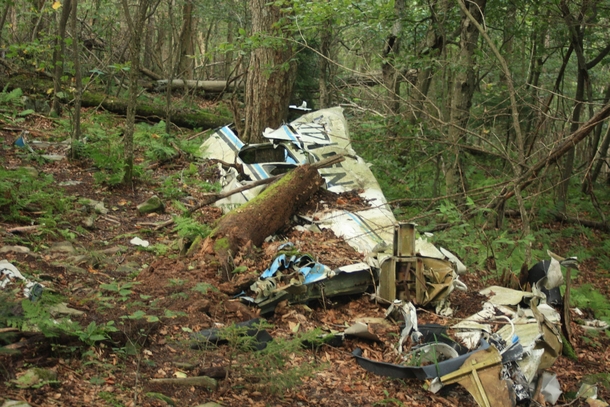 Plane wreckage in Spruce Knob Recreation Area WV 