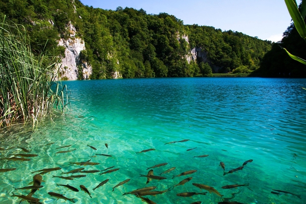 Plitvice Lakes Croatia  Went there with high expectations wasnt disappointed 