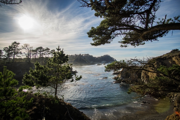 Point Lobos CA  By Hendrik Botha