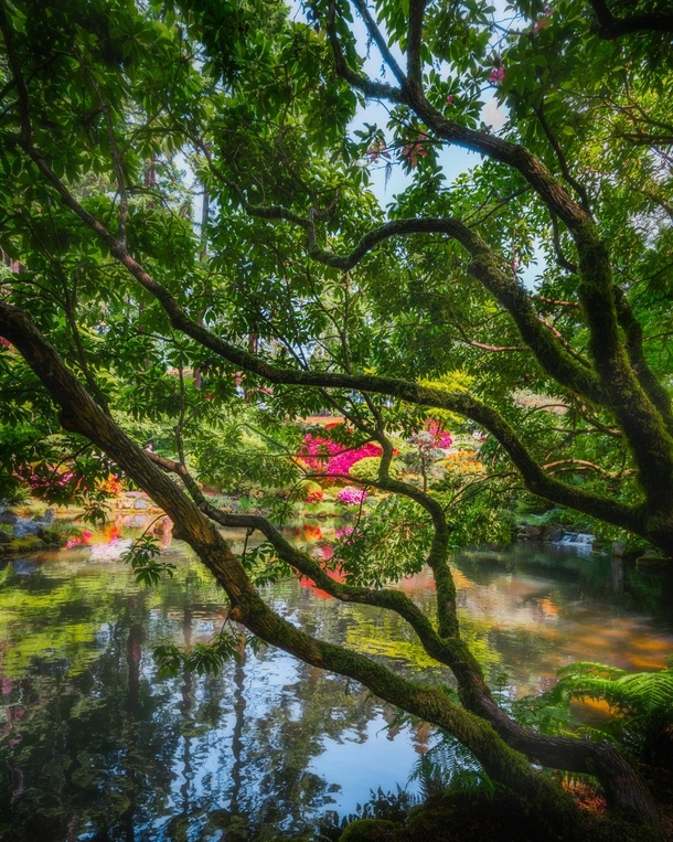 Portland Japanese Gardens  igjames_films