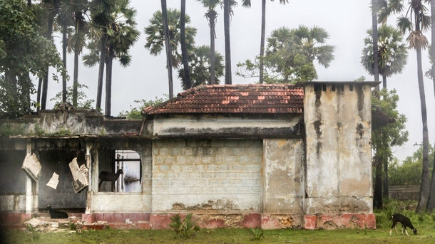 Post-war abandoned houses in the City of Jaffna 
