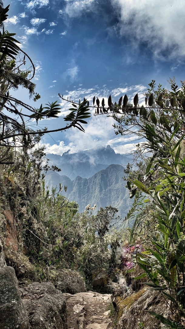 Postcard Moment in Machu Picchu 