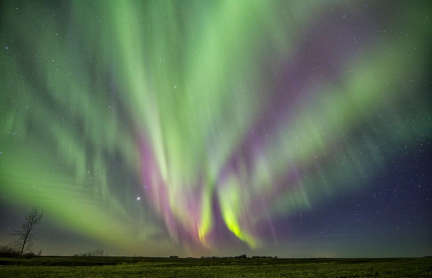 Prairie Aurora - Saskatchewan -  Bryan Thiessen 