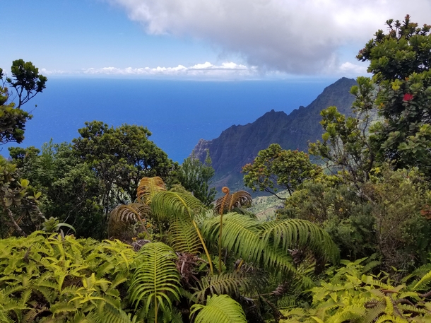 Puu O Kila Lookout Kauai 