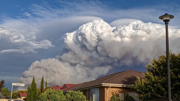 Pyrocumulonimbus forming from a bushfire in the Adelaide hills