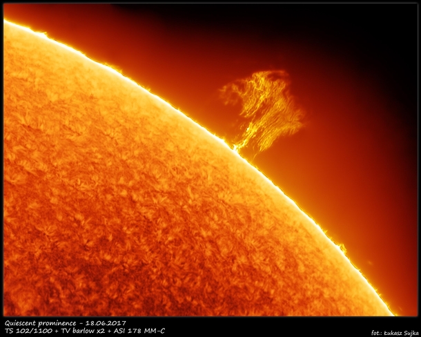 Quiescent Prominence  