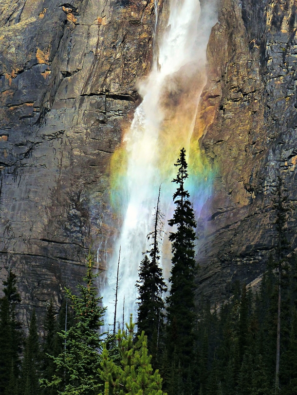 Rainbow cascades of Takakkaw Falls Canada 