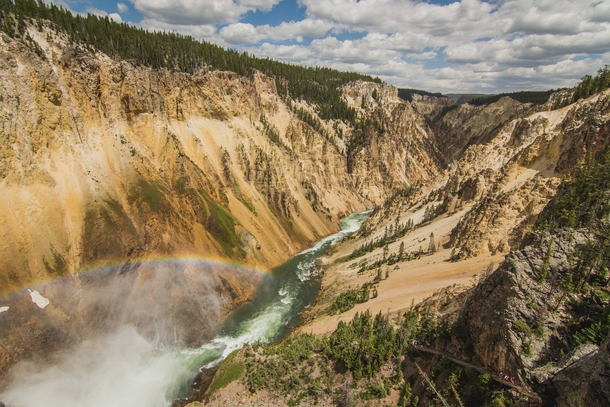 Rainbow in the Canyon Yellowstone 