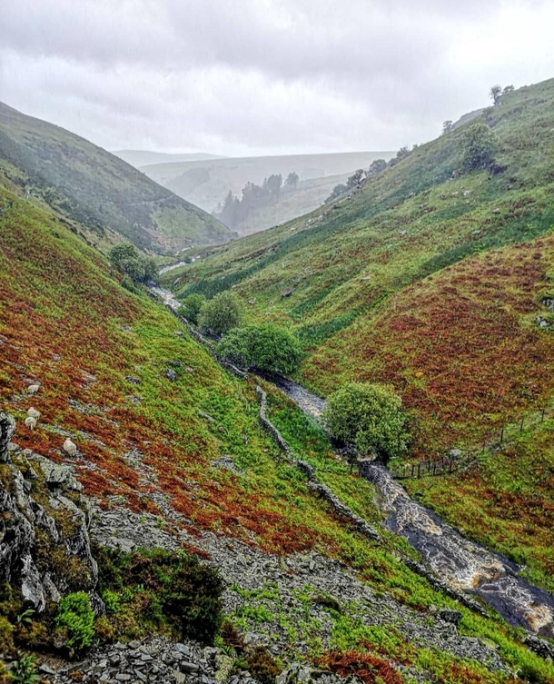 Rainy Exploration of the Ceiriog Valley North Wales OC 