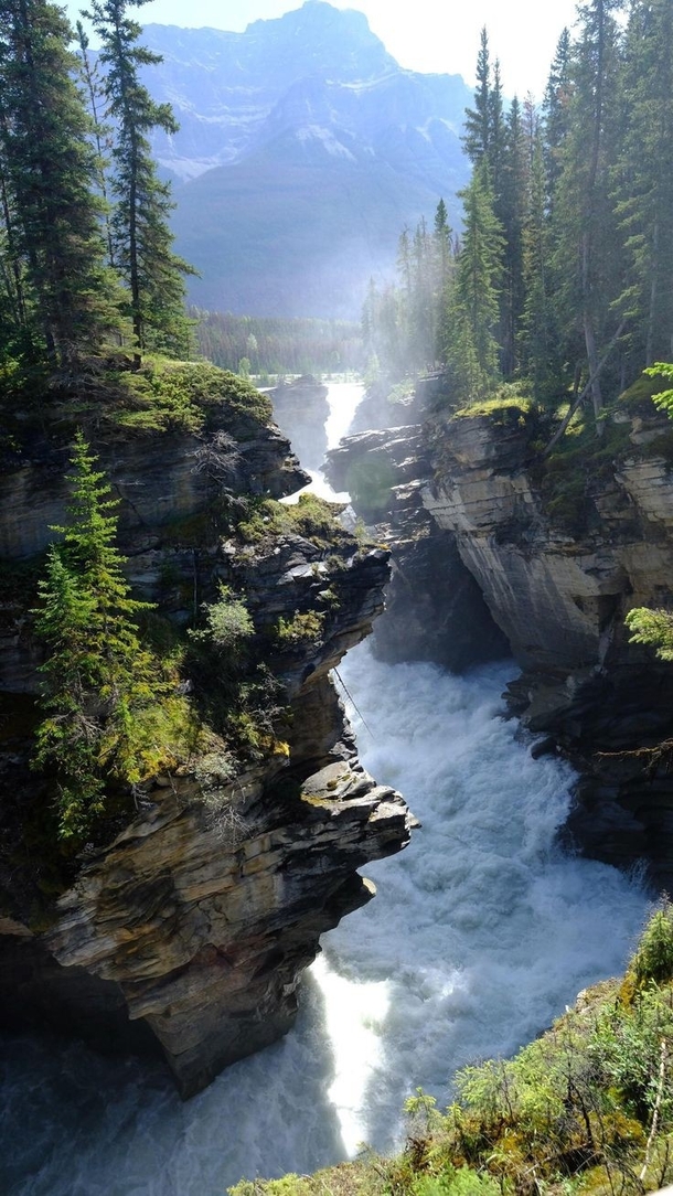 Real Athabasca Falls Alberta Canada OC 