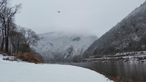 Recent snowfall in the water gap at the Delaware National Recreation area with mature bald eagle flying over Taken with my phone from the New Jersey side OC 