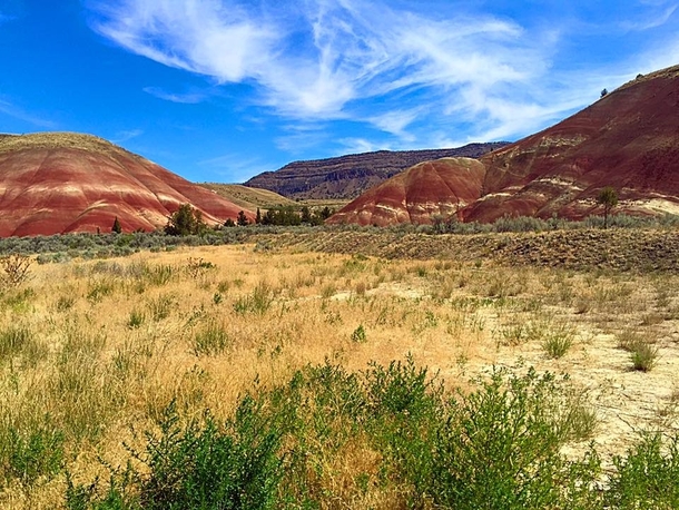 Recent Trip to the Painted Hills Oregon 