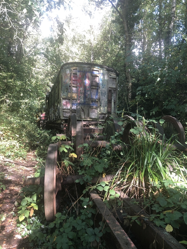 Recently explored some abandoned trains in Kent UK Not a massive train graveyard but some nice bits there If anyone has any idea of the era of these trains Id love to know Someone mentioned s to me but not  Link in comments for more 