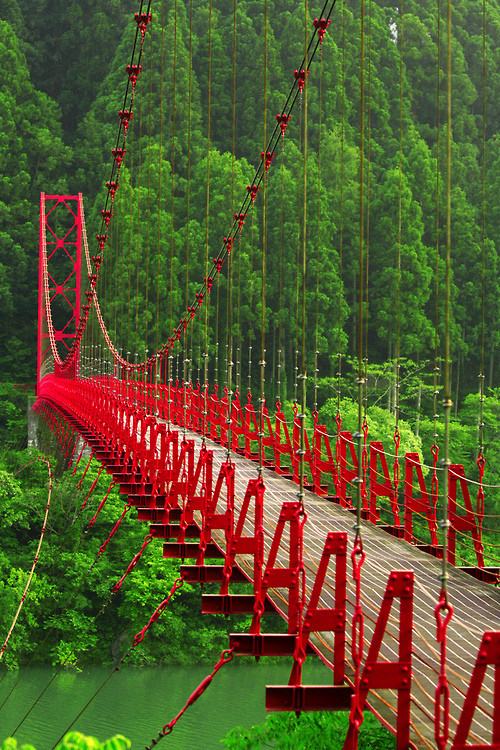 Red Bridge Wakayama Japan  photo by Paco Alcantara