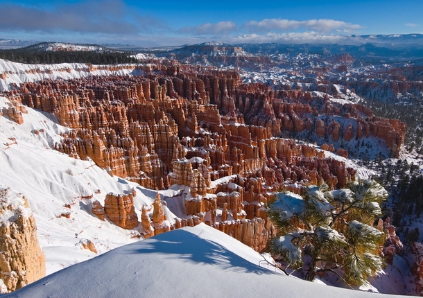 Red rock and fresh white snow makes for a perfect morning at Bryce Canyon 