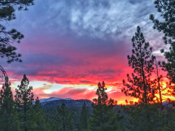 Red sky at night Inyo Natl Forest  OC