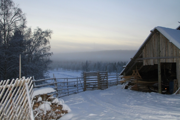 Reindeer farm in Lapland 