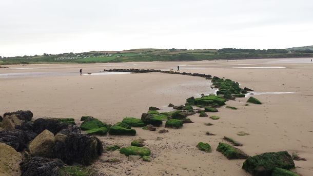 Remains of a medieval fish weir just above the low water mark at Lligwy Beach Anglesey Wales 