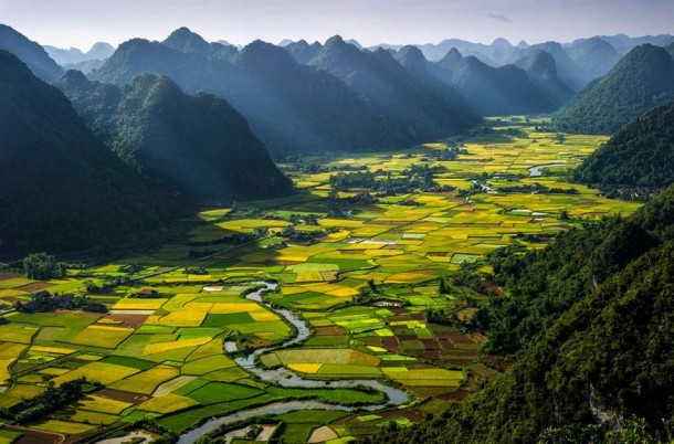Rice Paddies Ha Giang Vietnam 