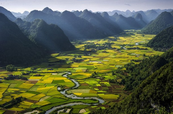 Rice plots in the Bac Son Valley Vietnam 