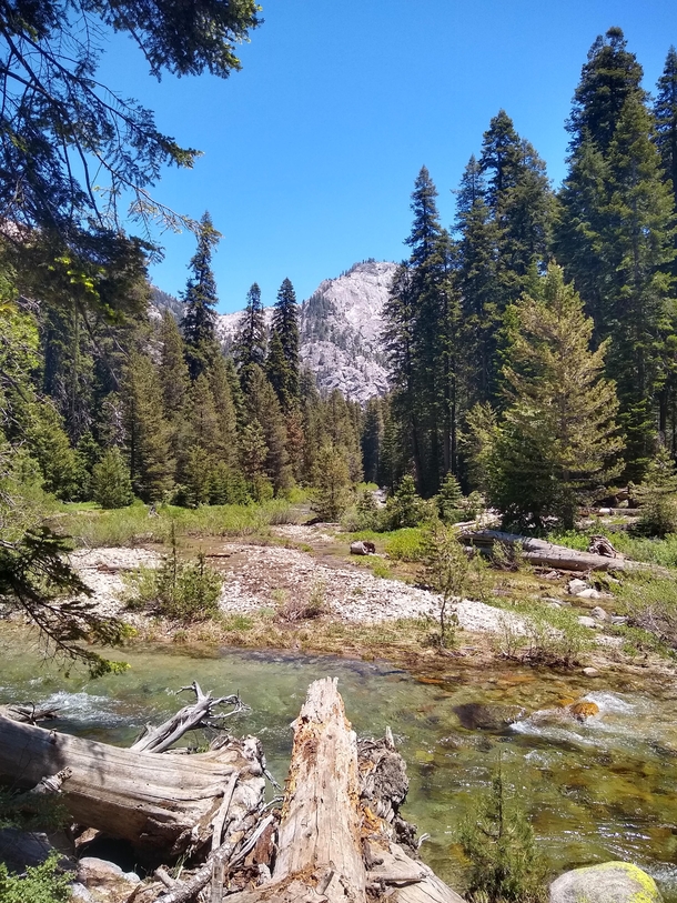 Road trip in Cali Sequoia national park today and Kings canyon tomorrow This was on the Tokopah falls trail 