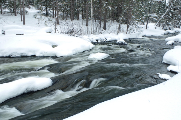 Rushing River Provincial Park in Winter 