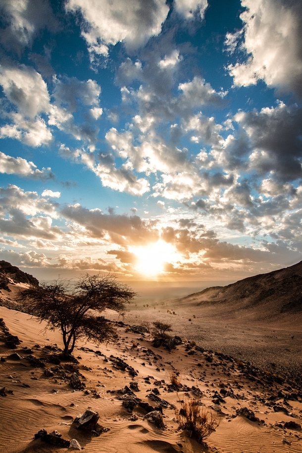 Sahara Desert in Morocco at sunrise  x  