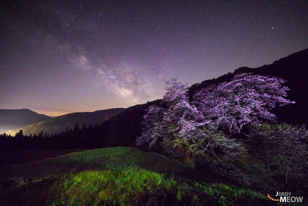 Sakura with the Milky Way Nagano Japan -  days ago 
