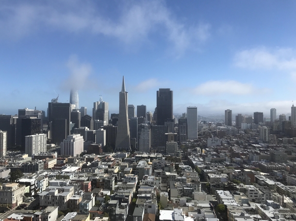 San Francisco Financial District from Coit Tower CA 
