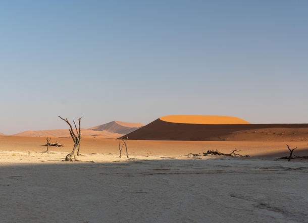 Sand dunes at dawn Deadveli Sossusvlei Namibia 