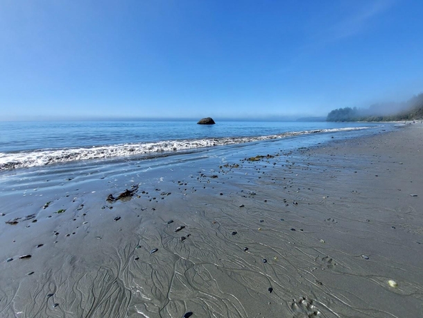 Sandcut Beach on a misty morning Sooke Vancouver Island 