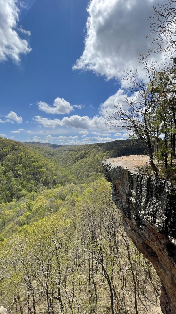 Say what you want about Arkansas its beautiful Whitaker point or Hawksbillcrag Arkansas USA   x 