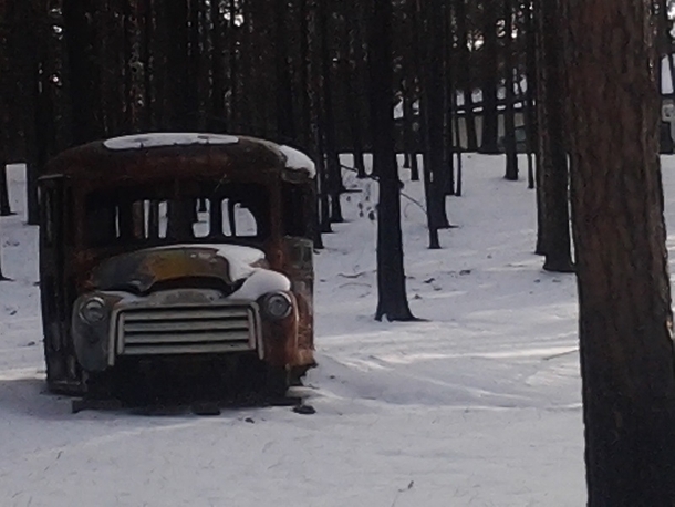 school bus in Black Forest CO  OC