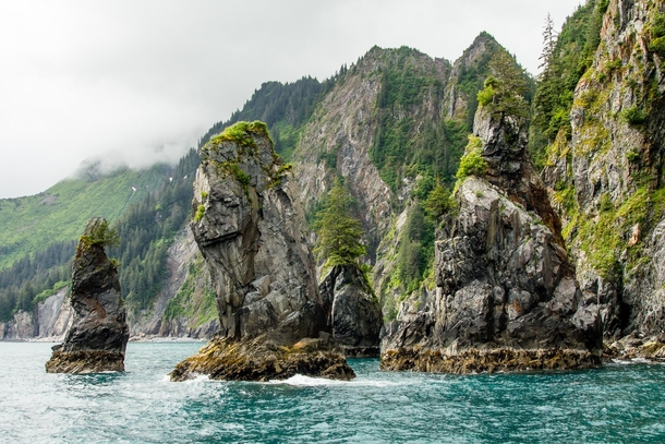 Sea Stacks in Kenai Fjords NP Alaska 