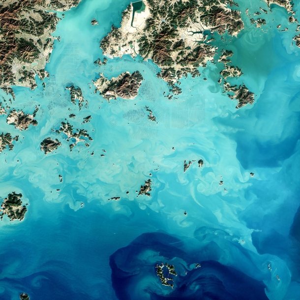 Seaweed farms Sisan Island South Korea by Jesse Allen of NASA Earth Observatory 