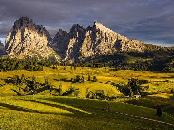 Seiser Alm - the Alpine meadow at the base of the Dolomites Italy  by Hans Kruse