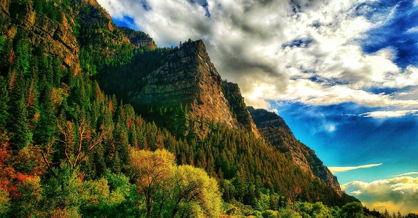 Sensitivity - Bridal Veil Falls Provo Canyon Utah 