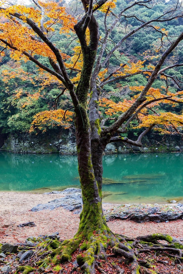 Serene natural colours of the Katsura River west of Kyoto Japan 