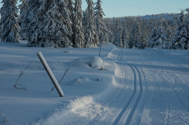 Sjusjen Norways most popular cross country skiing area 