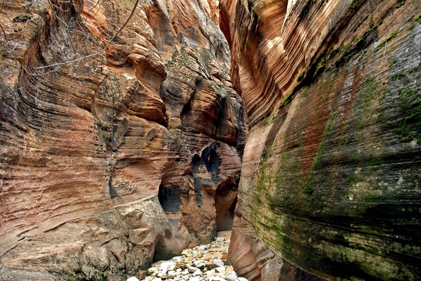 Slot canyon in Zion National Park Utah 