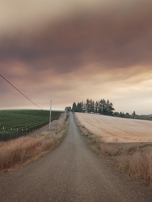 Smokey overcast near Yamhill Oregon USA