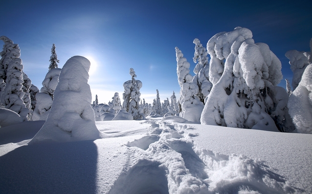 Snow can be extremely beautifull Lapland Finland 