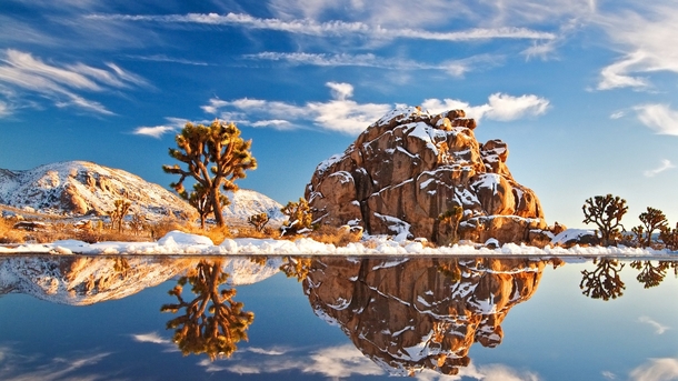 Snow in Joshua Tree National Park California  by unknown