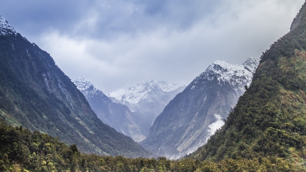 Snowcapped mountains and rainforests Thats Fiordland New Zealand 