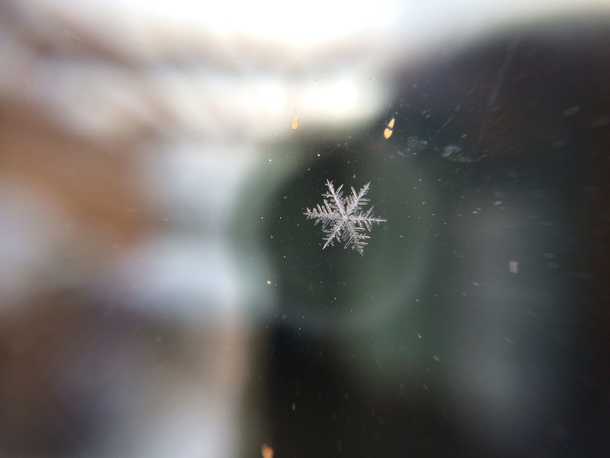 Snowflake With My Phone 