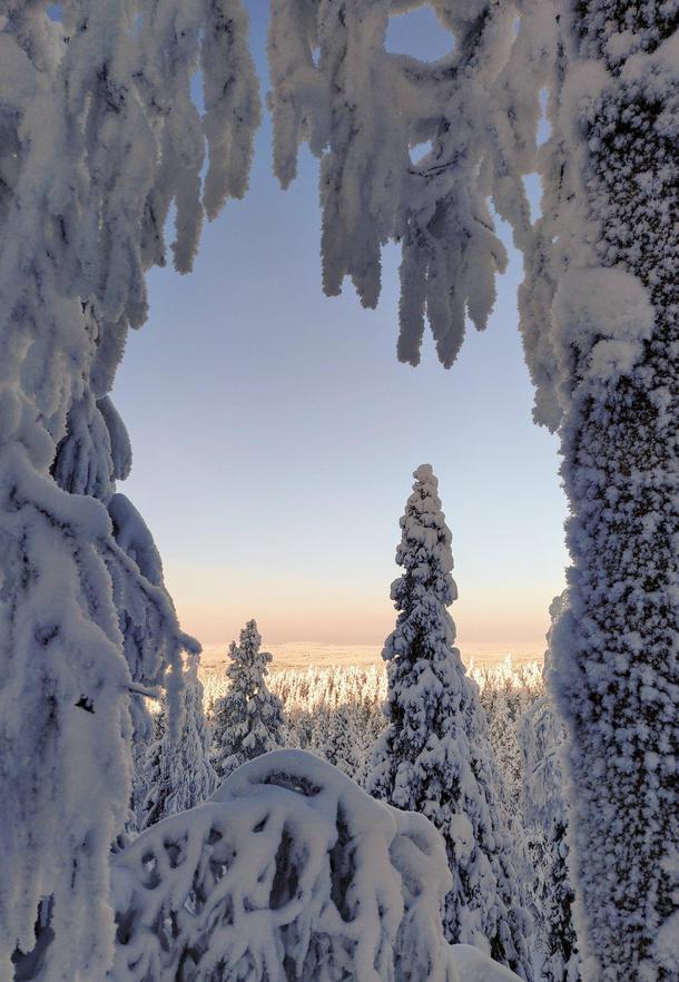 Snowshoeing Rovaniemi Finland