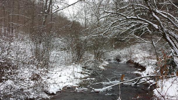 Snowy creek at hunting camp